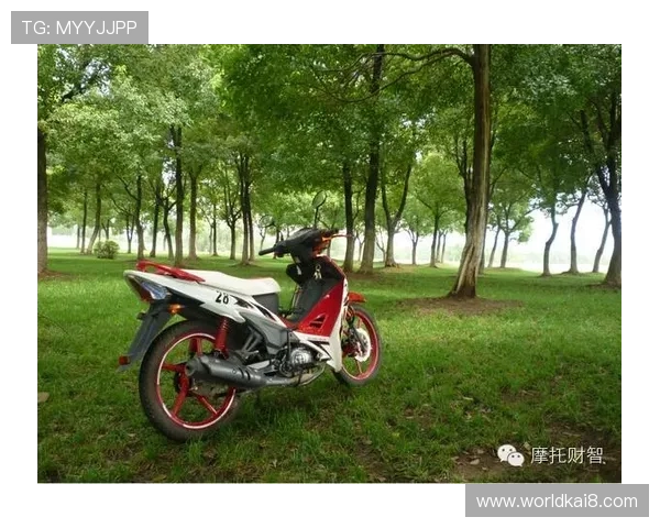 K8电玩大全中的最新游戏资讯与行业动态分析