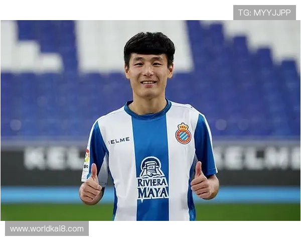 西甲K8官网为用户提供的专业赛事分析与专家预测服务介绍