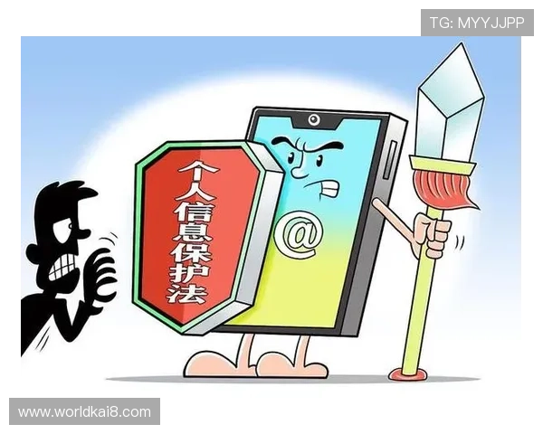 K8备用官网的安全策略与隐私保护措施全面解析